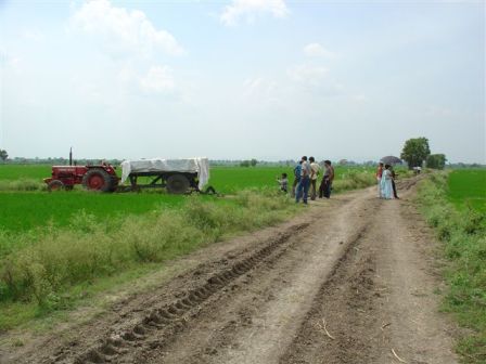 tractor